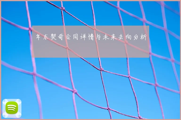 年东契奇合同详情与未来去向分析
